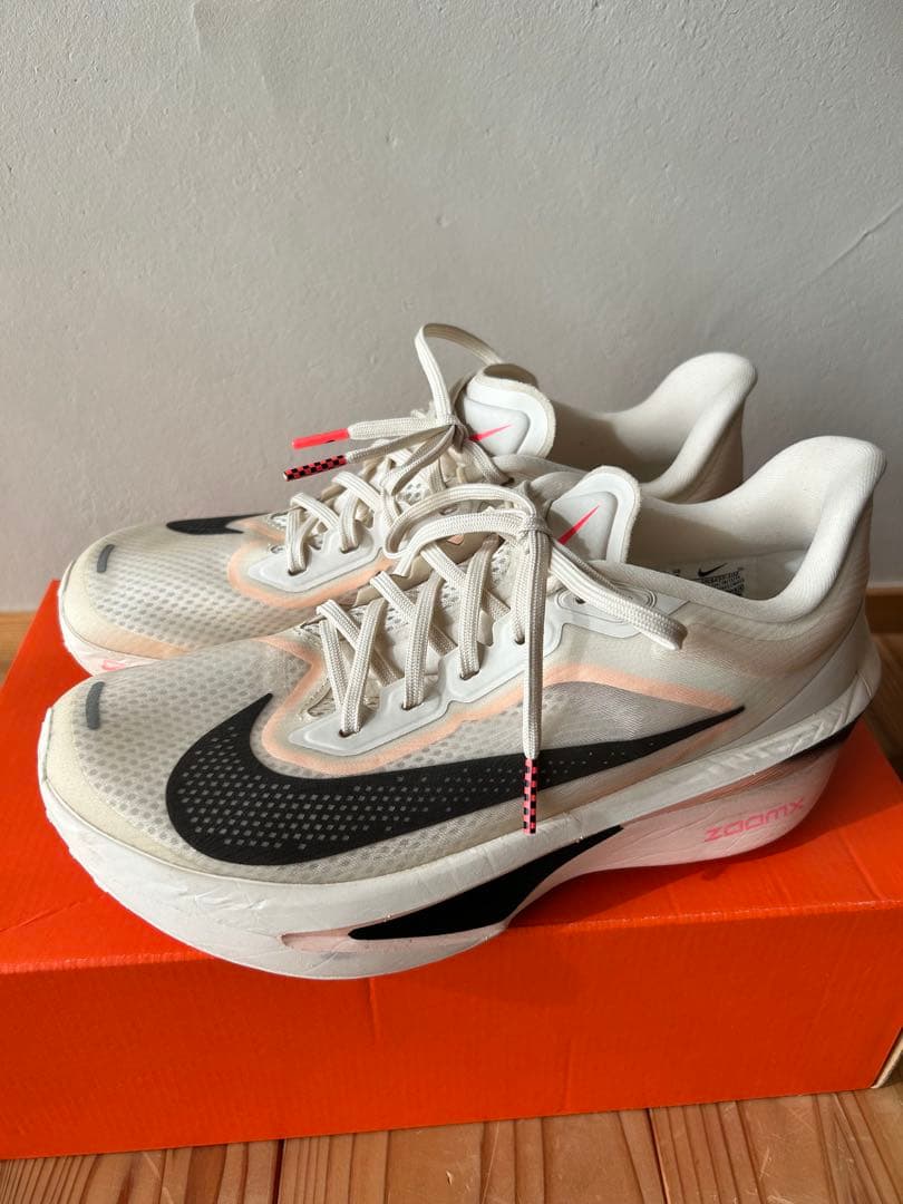 Nike ズーム フライ 6 25cm レディース