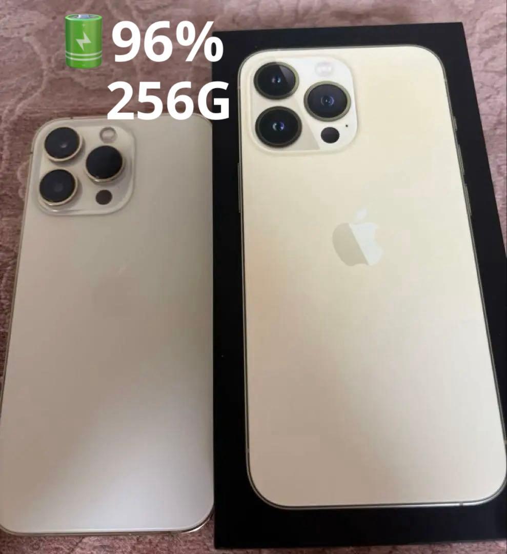 Bray　Apple iPhone 13 Pro 256GB ゴールド