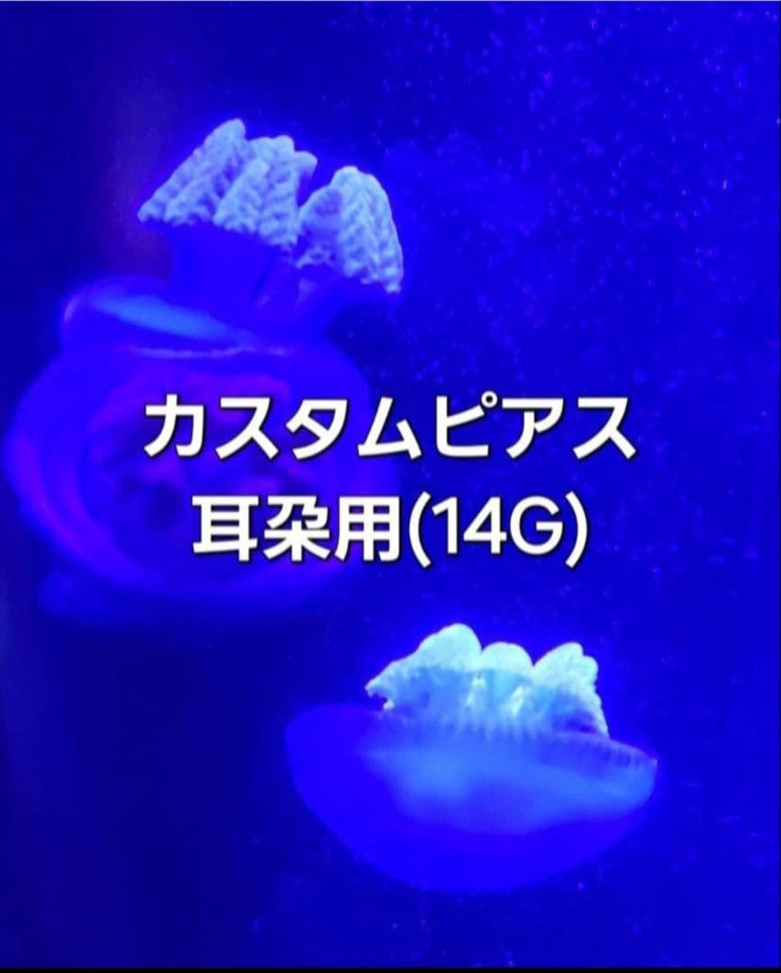 カスタムピアス 14G 耳朶用