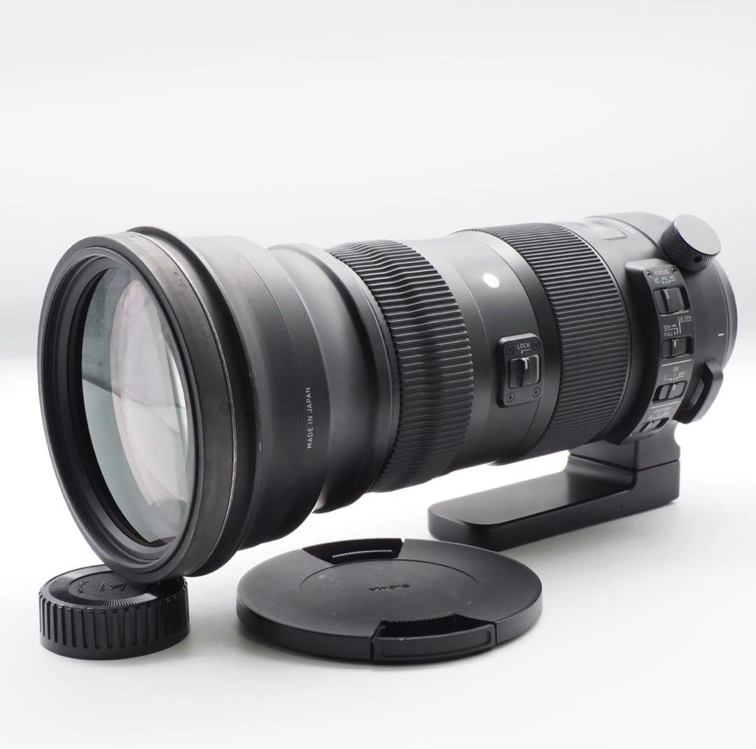 SIGMA 150-600mm Sports 大セール‼️