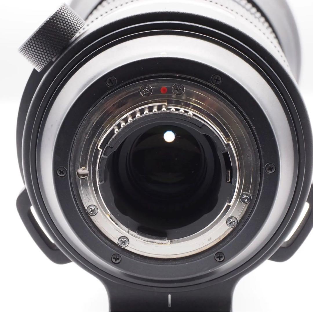 SIGMA 150-600mm Sports 大セール‼️