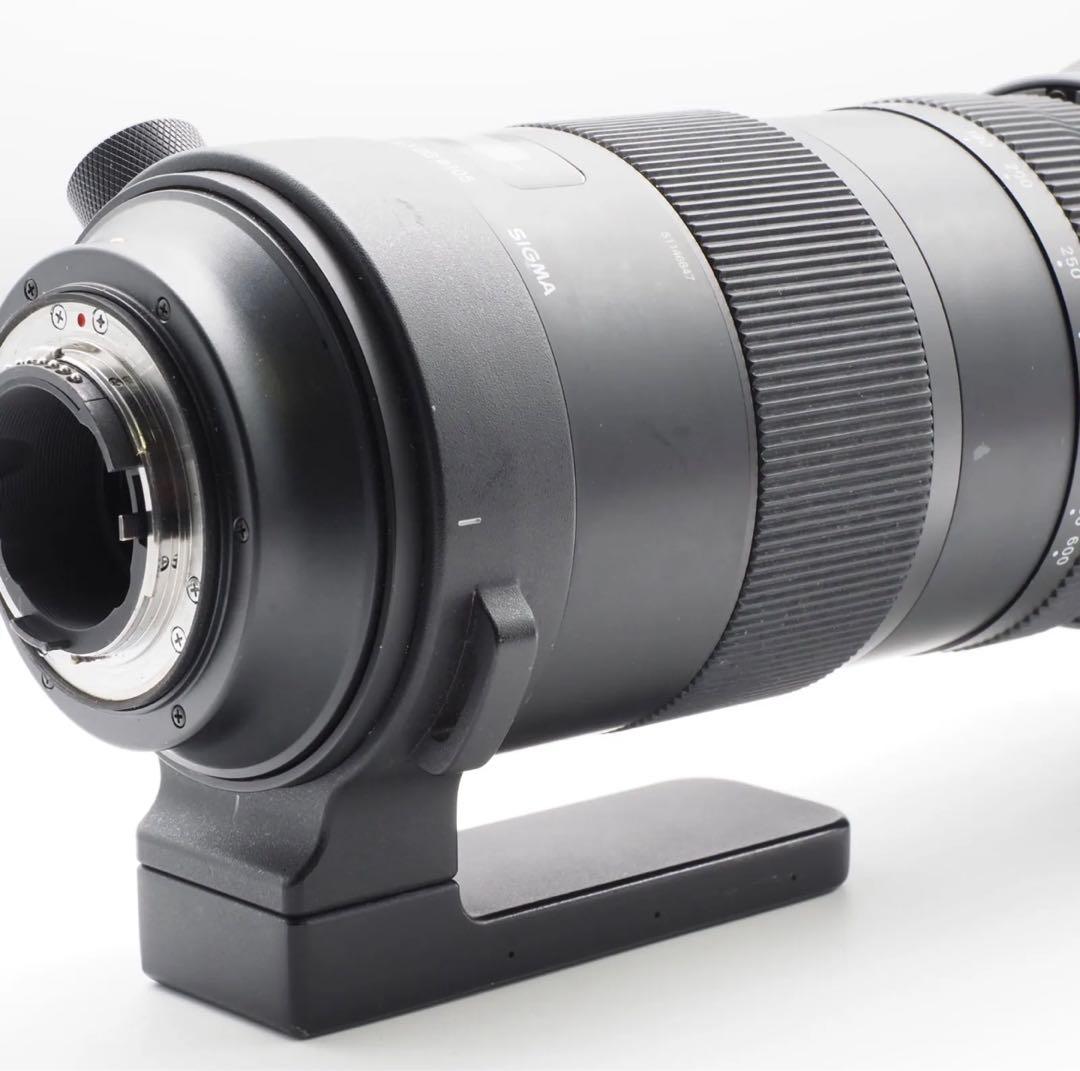 SIGMA 150-600mm Sports 大セール‼️