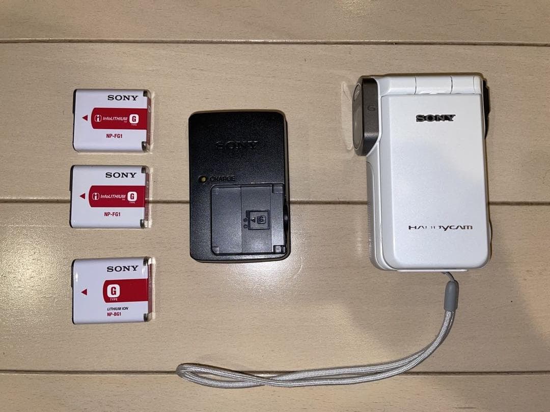 ソニーハンディカムHDR-GW77V　充電池3個