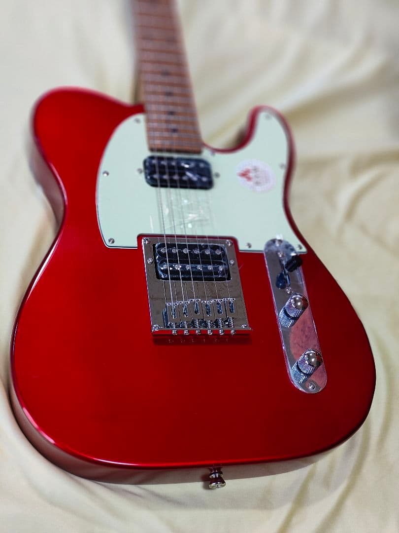 2ヶ月前に購入 新品同様Bacchus テレキャスター ギターケース シールド付