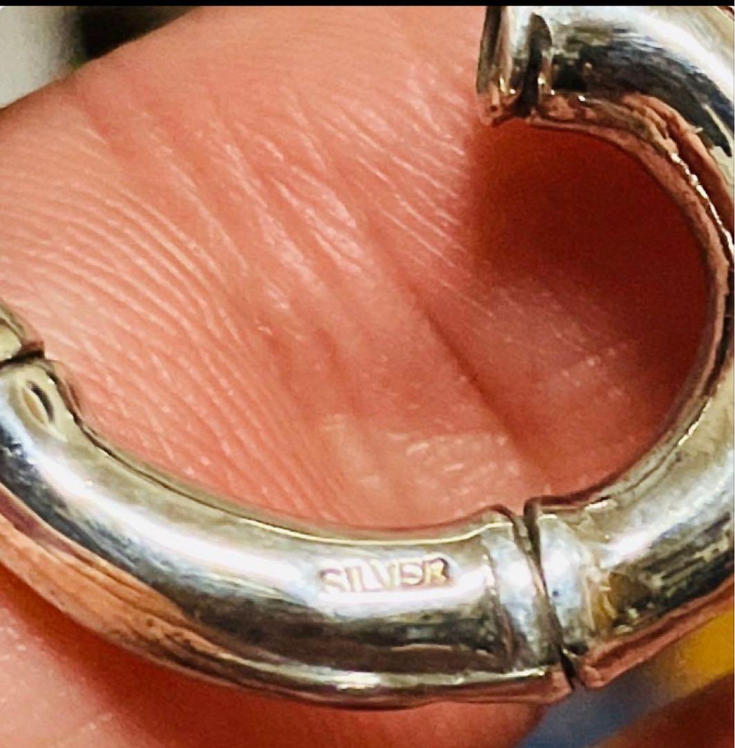 ブルーナボイン　ガリトラップ　竹ホルダー　ピンバッジ　アクセサリー