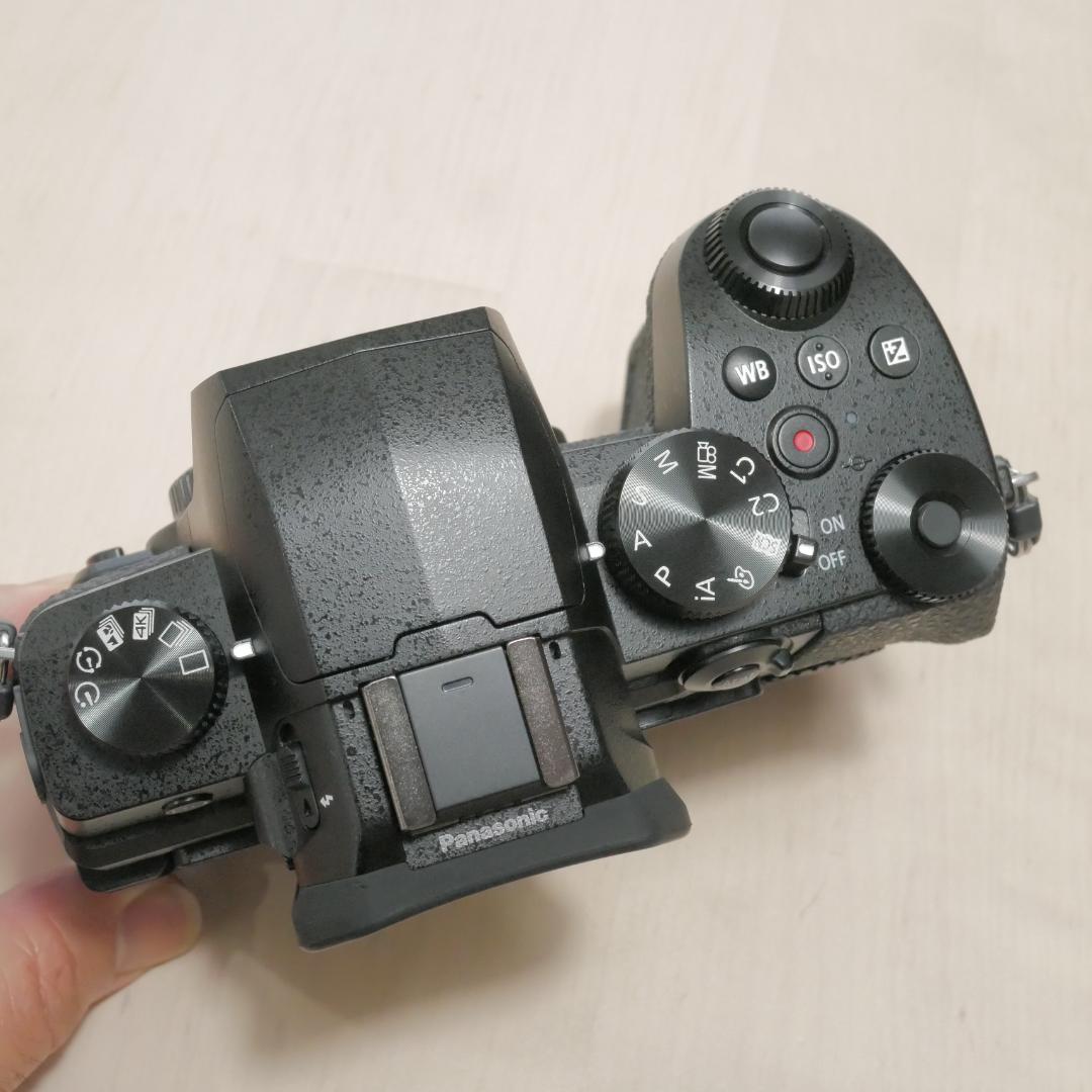 中古美品 LUMIX G99D レンズセット G VARIO 12-60mm