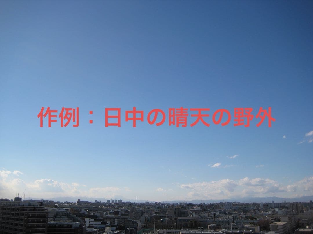 【動作確認済】Canon キャノン IXY DIGITAL 10 PC1228