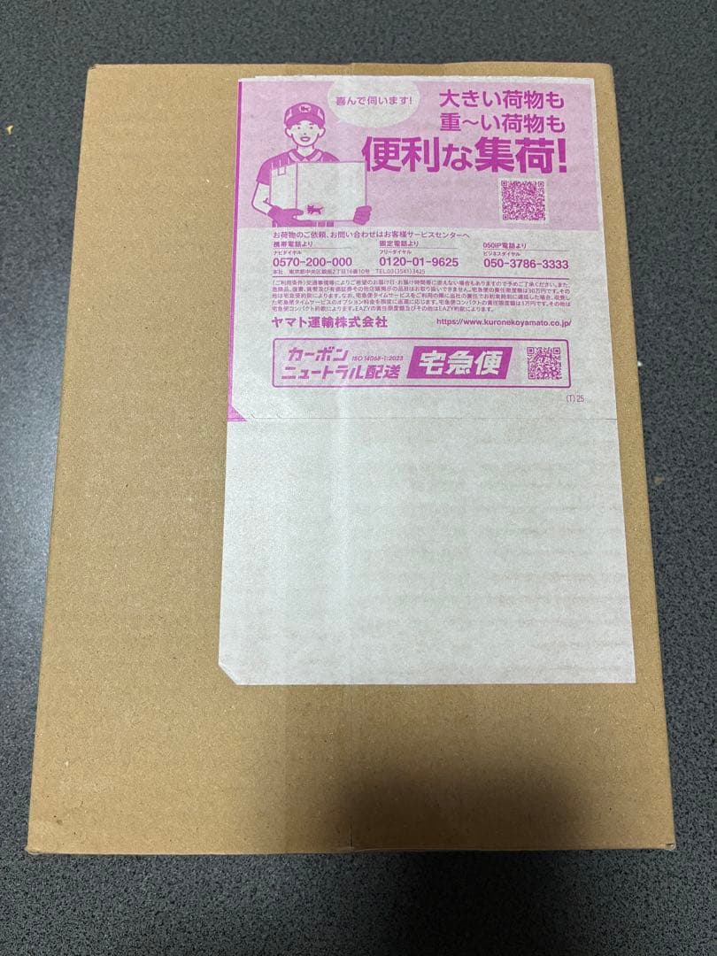 ムニキスゼロ　ダンボール未開封　ポケモンセンター産