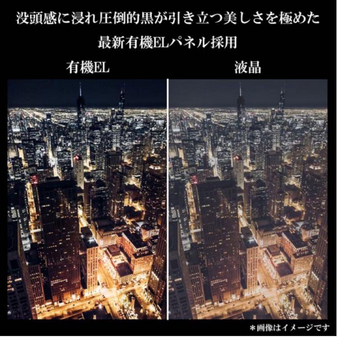 新品未使用 New Bridge 13.3インチ OLEDディスプレイ