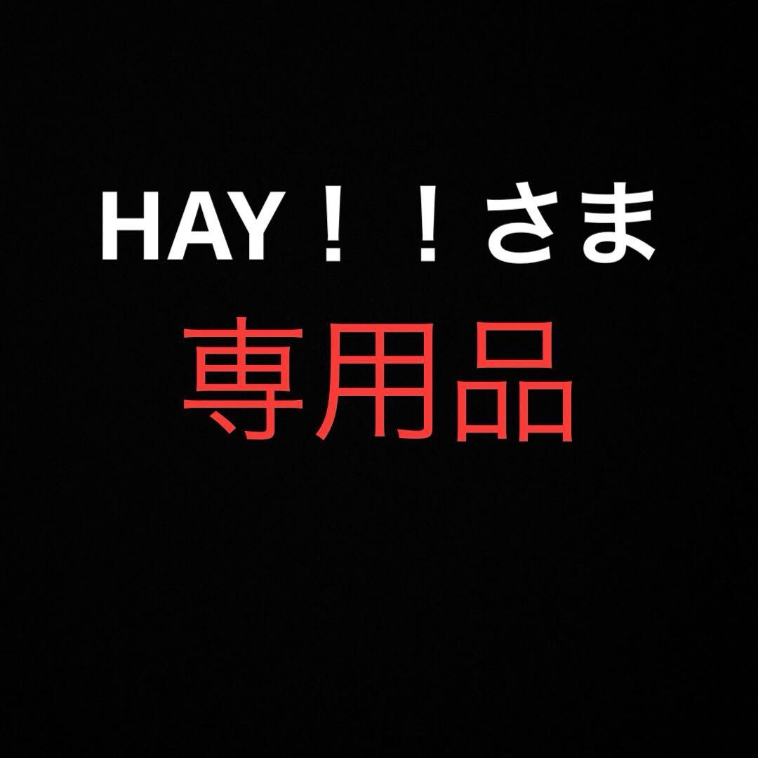 2XLサイズ！タグ付き BRU NA BOINNE クルーネックスウェット