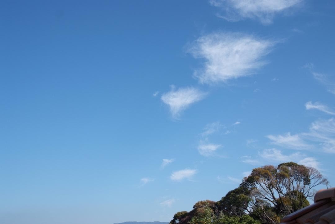 【名機】FUJIFILM FinePix S5 Pro　MB-D200 一眼レフ