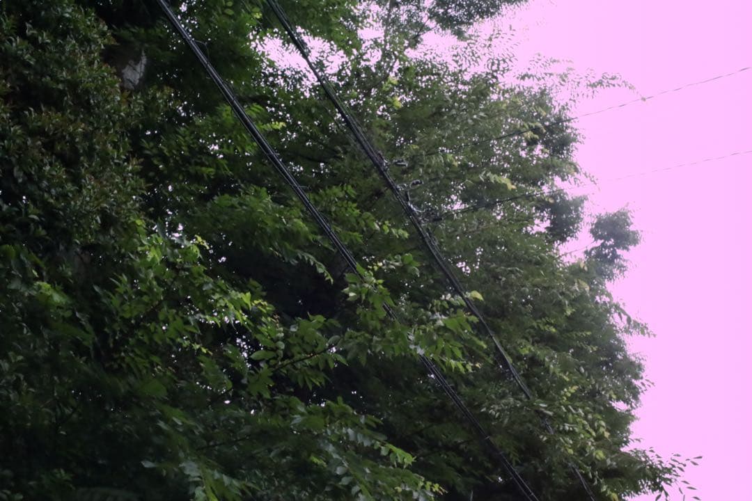 超美品 Canon EOS RP ボディ ブラック 訳あり