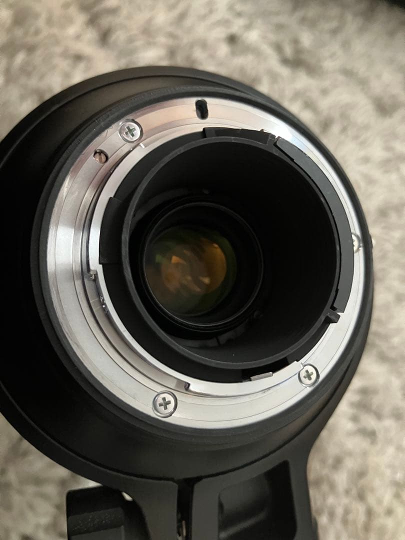 ニコン AF-S Nikkor 80-400mm F4.5-5.6 G ED