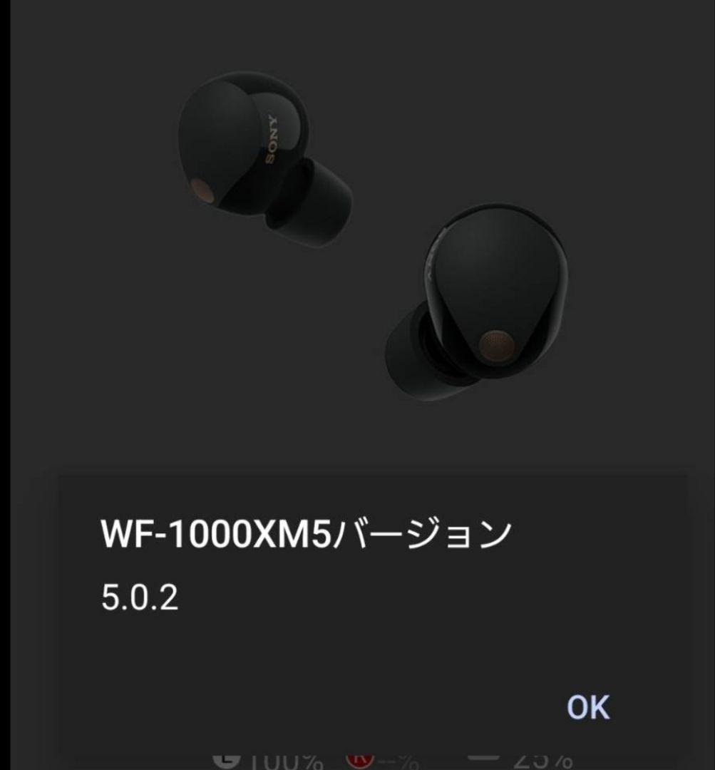 SONY 5V 330 mAhワイヤレスイヤホン 左耳のみ 充電ケース付き