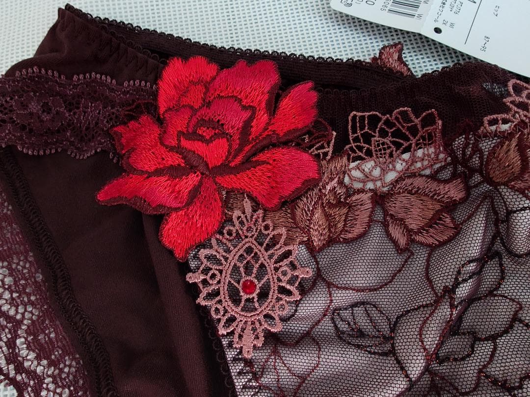 サルート BTJ476 F70