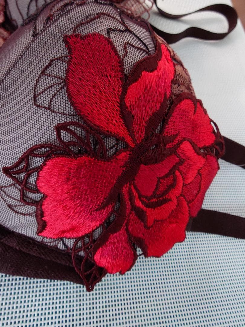 サルート BTJ476 F70