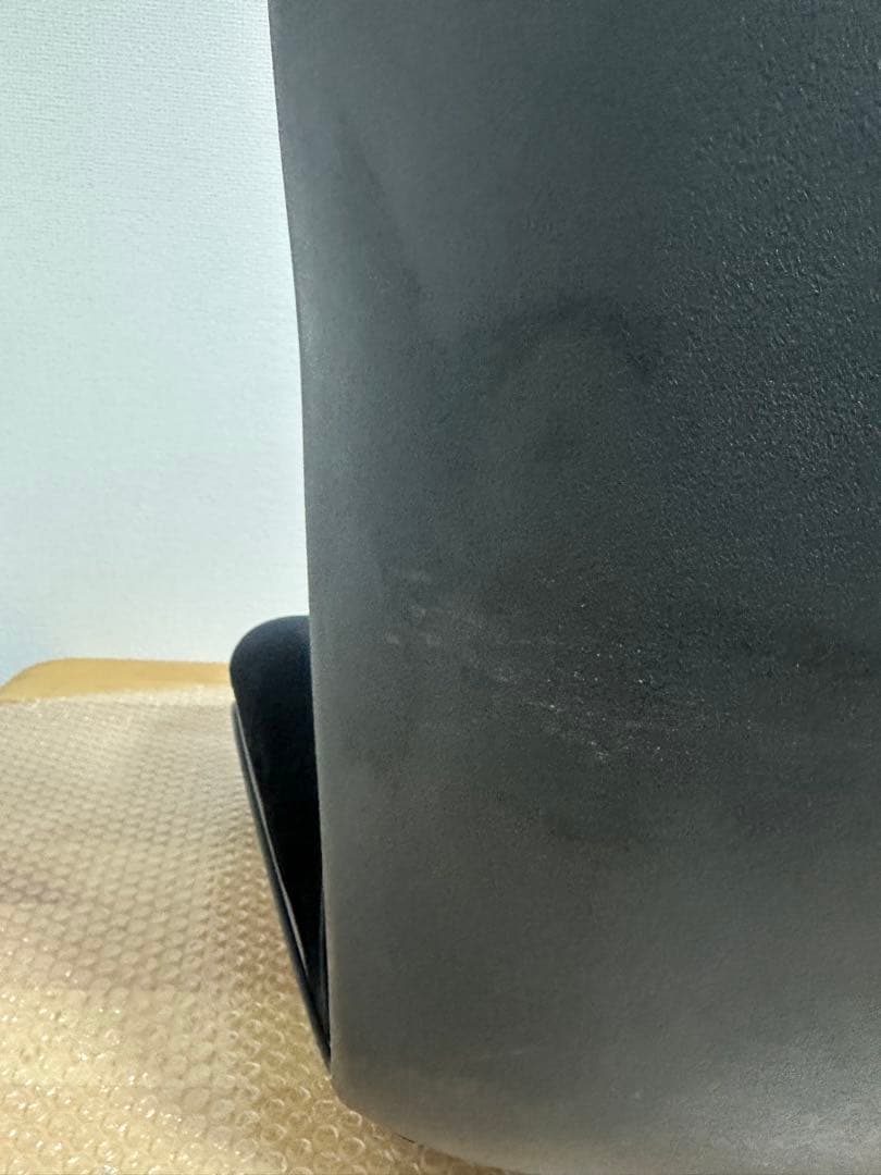 早い者勝ち スタイルプレミアムデラックス 姿勢矯正クッション