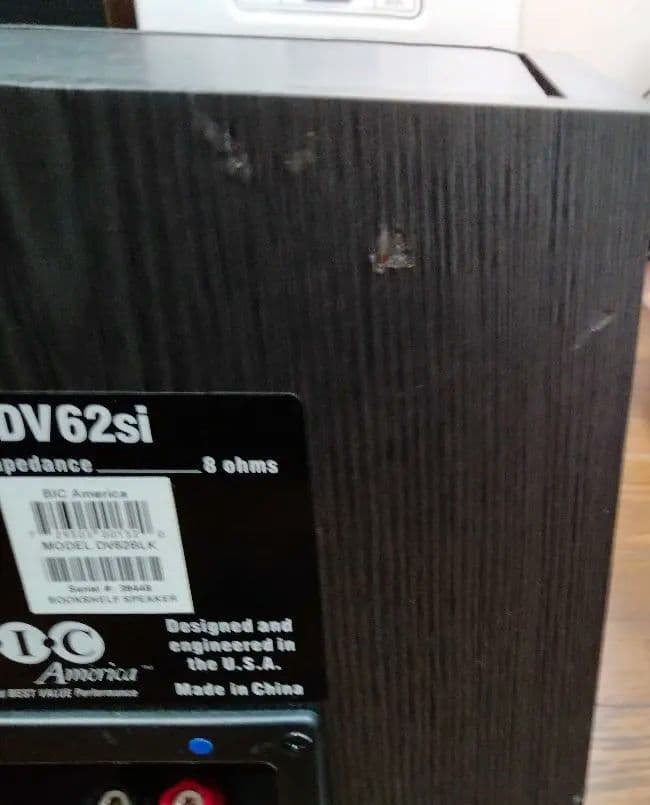 【Pro Cableさんおすすめ】BIC DV62si（中古）