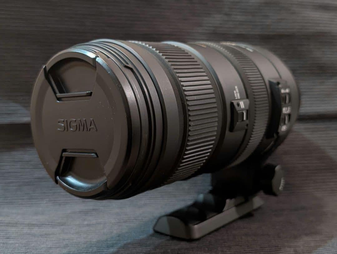 キヤノン EF SIGMA 120-400mm F4.5-5.6 APO HSM