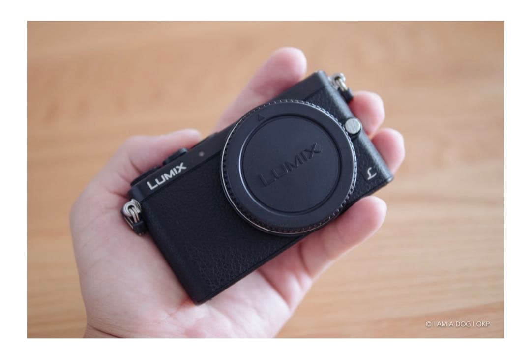 Panasonic Lumix GM1 オールブラック／レンズキット　オマケ付き