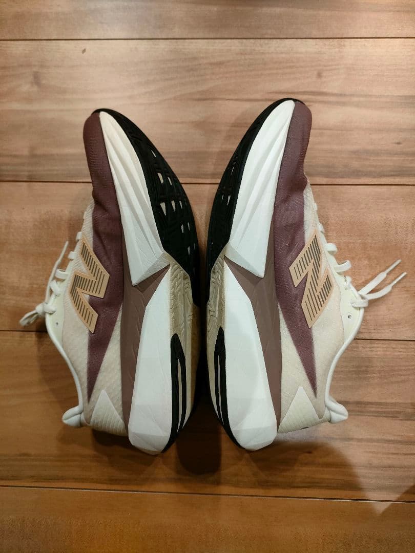 【値下げ中】フューエルセル レベル v5