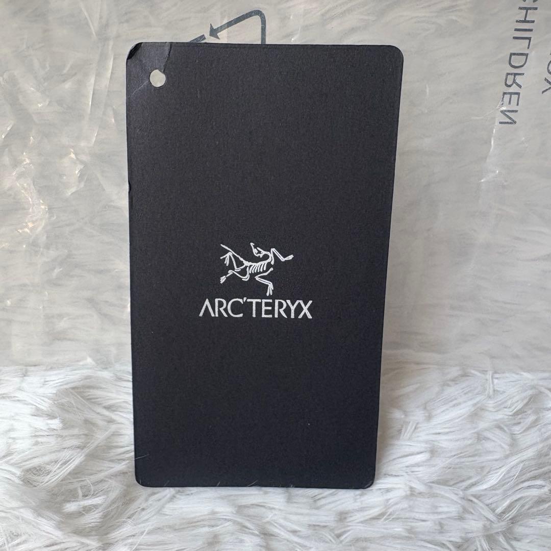 ARC'TERYX メンズ ブラック マウンテンパーカー