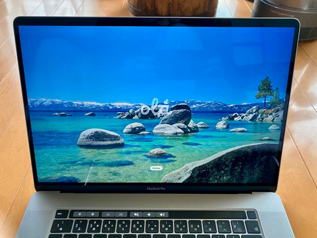 ふ*ん様 美品 MacBook Pro 16インチ シルバー 本体 i9