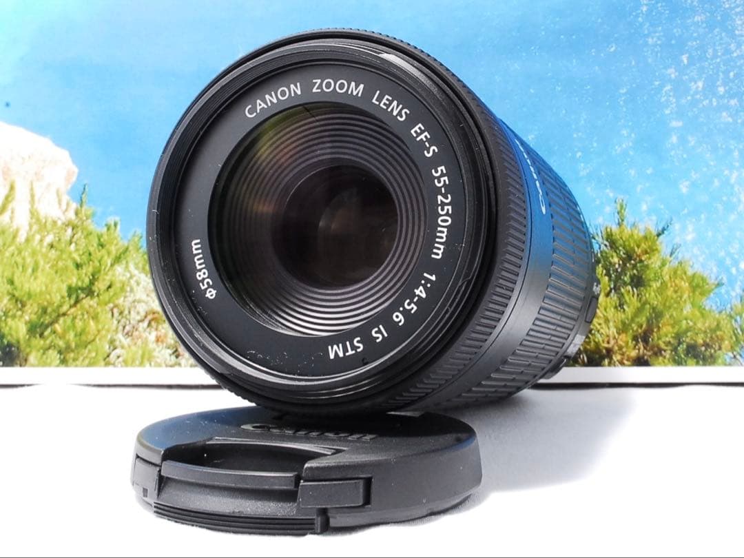 ✨完動品✨Canon EF-S 55-250mm IS STM 手ぶれ補正 望遠