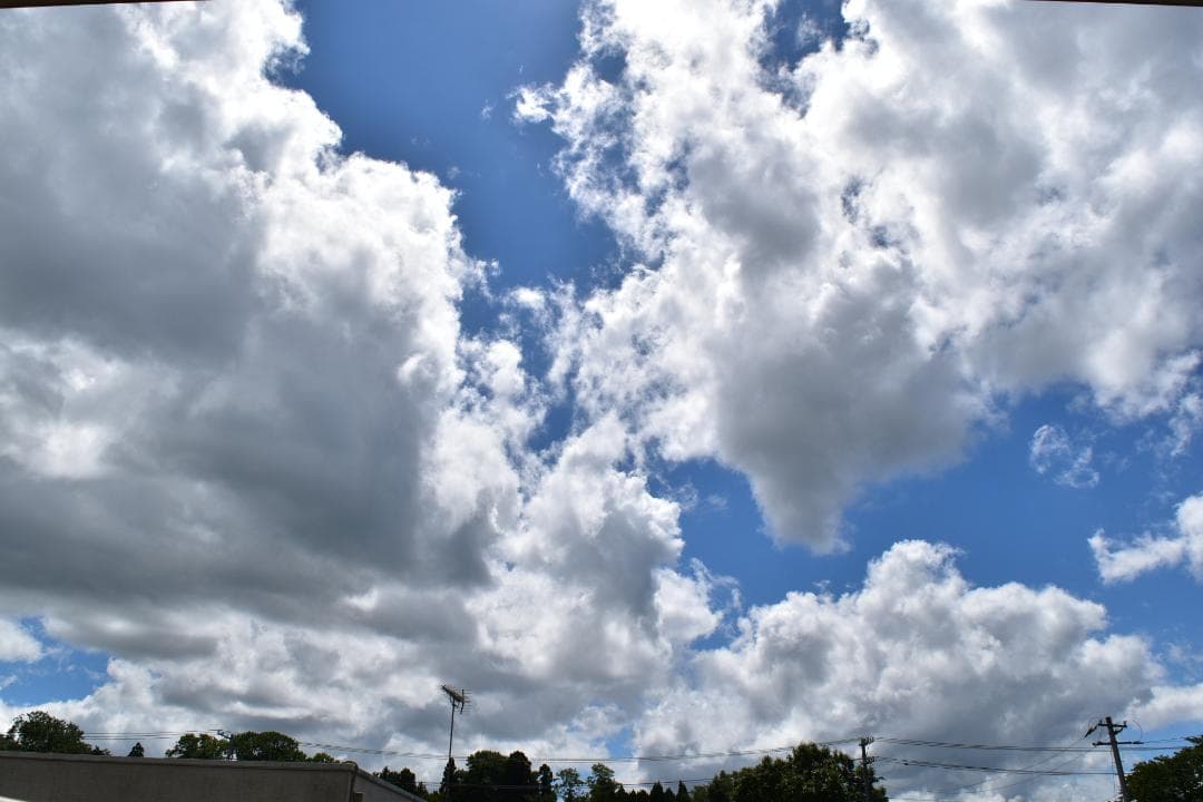 Nikon D5500 ダブルズームキット シャッター回数:1457