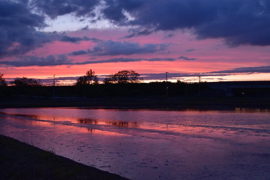 Nikon D5500 ダブルズームキット シャッター回数:1457