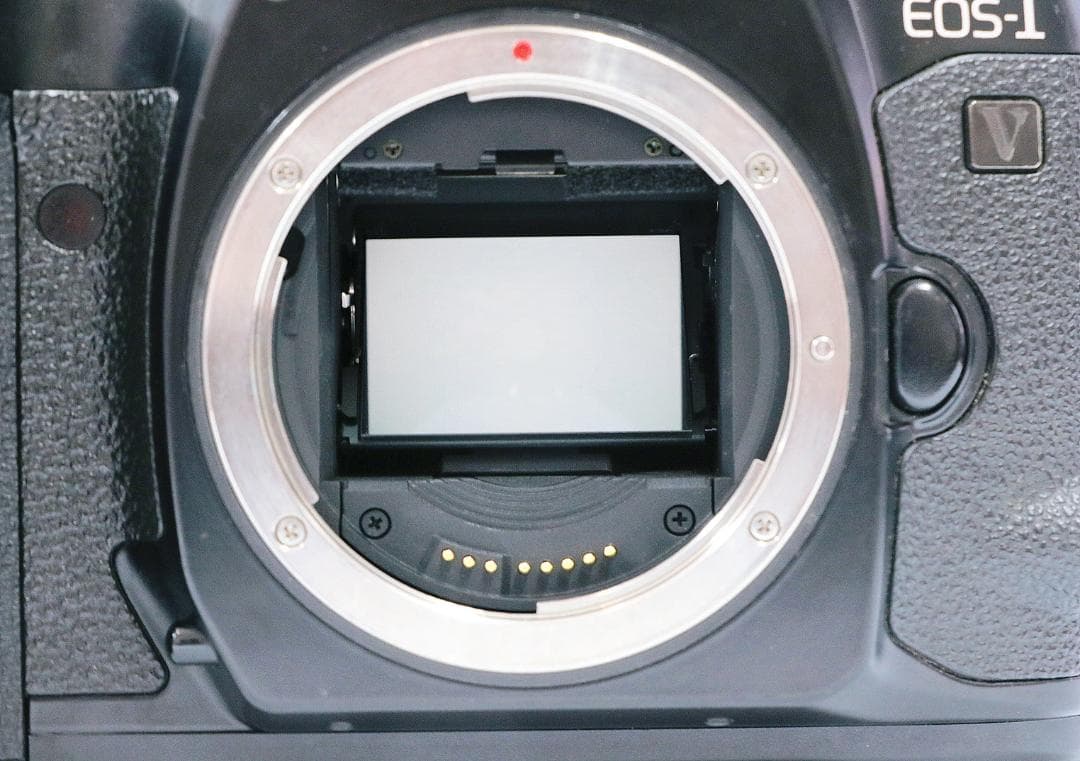 Canon EOS-1V フィルム一眼レフカメラ