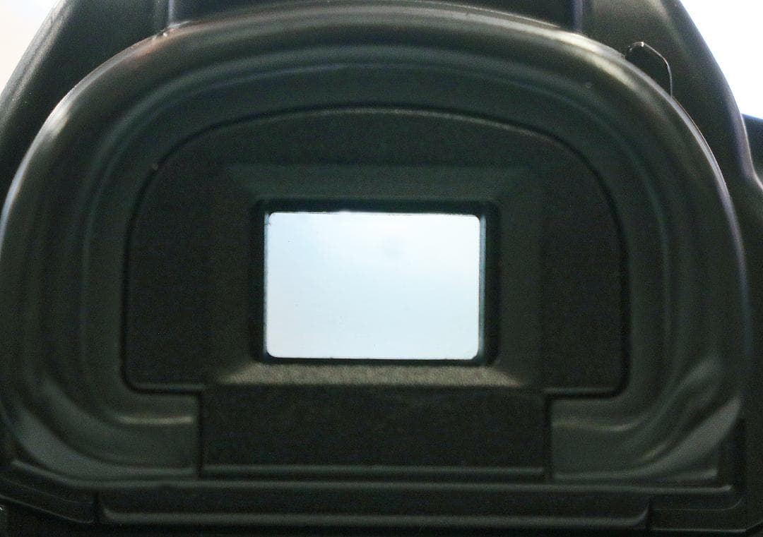 Canon EOS-1V フィルム一眼レフカメラ