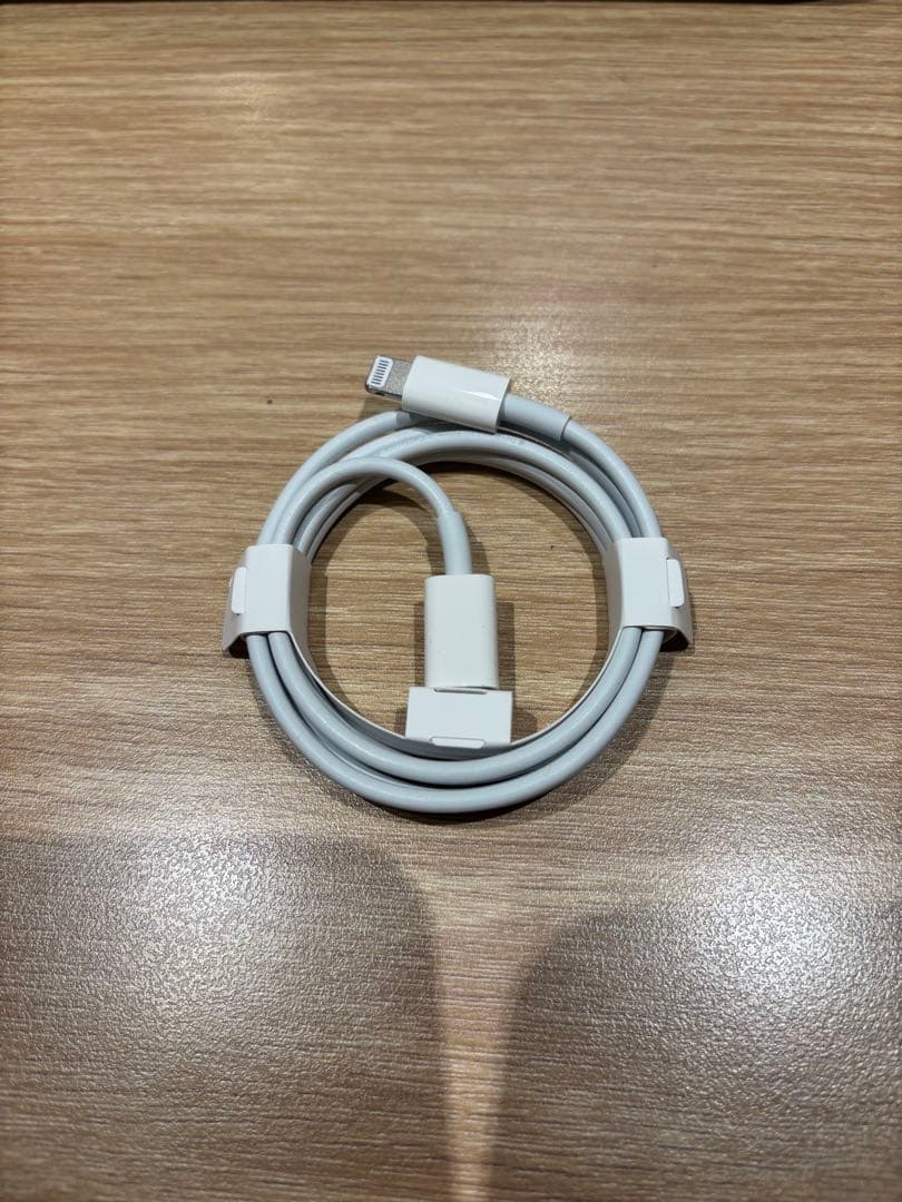 iPad mini 4 Wi-Fi 128GB シルバー 純正ケーブル付