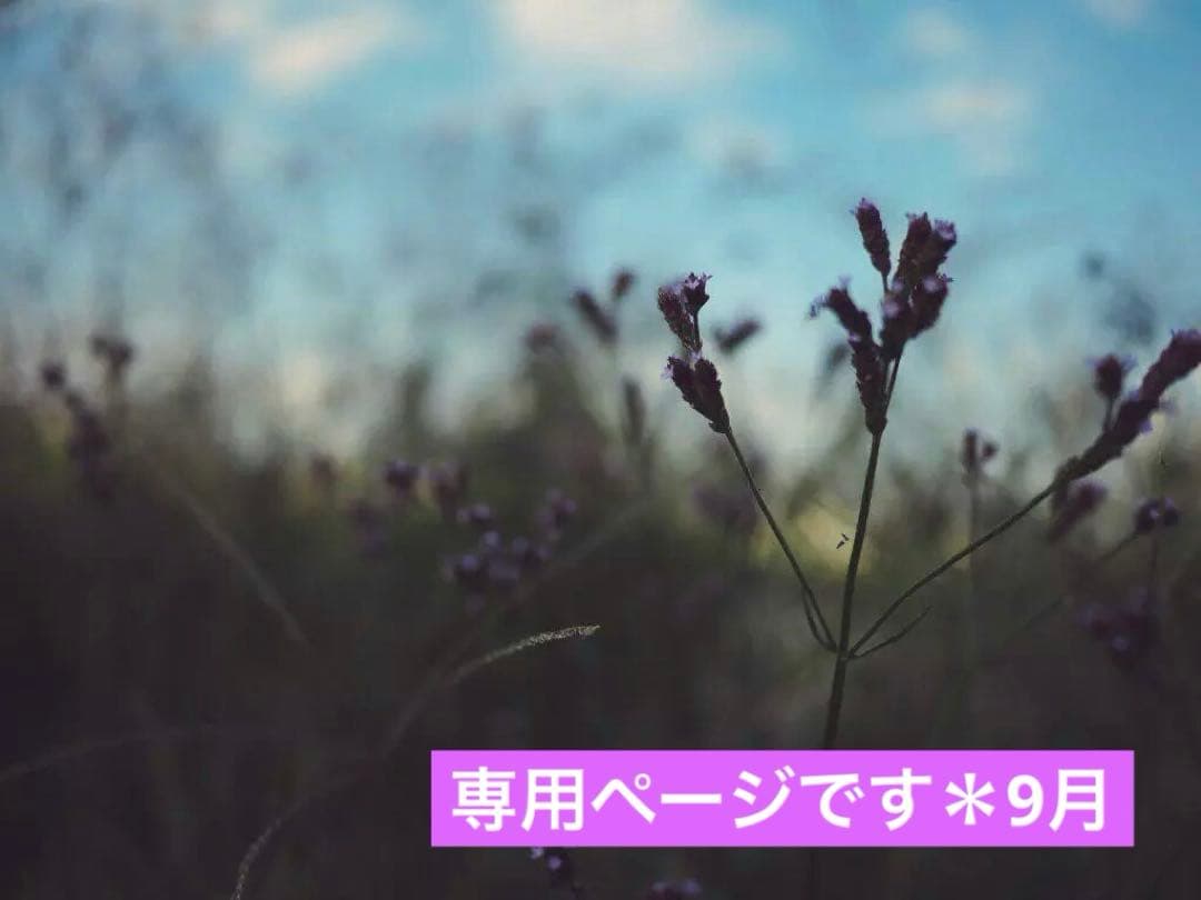 skygrayページです♪9月