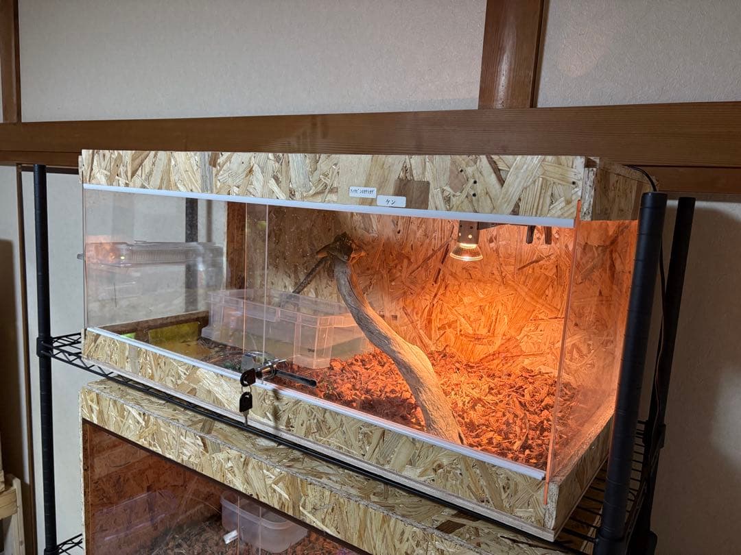 爬虫類ケージ　90×40×40 サイドアクリル　爬虫類　ペット　飼育　ケージ