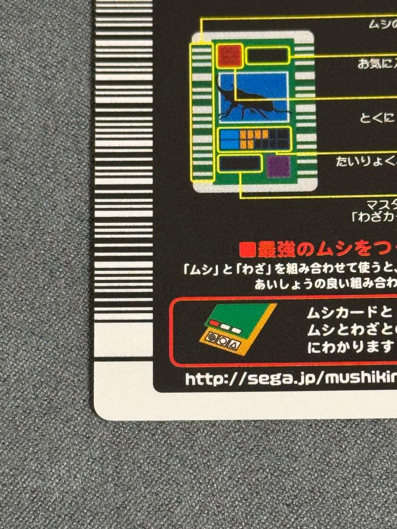 甲虫王者ムシキング 2003秋 ギラファノコギリクワガタ 確認用