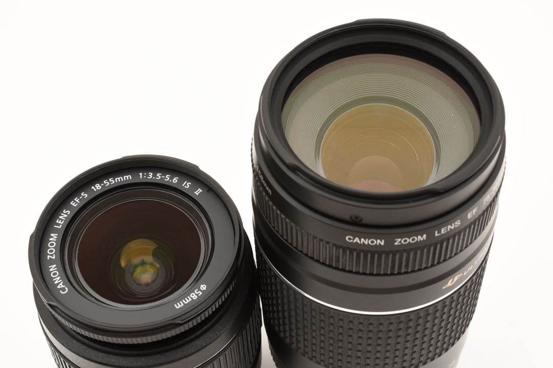 Canon EOS 80D/約2420万画素/標準&望遠ダブルレンズセット