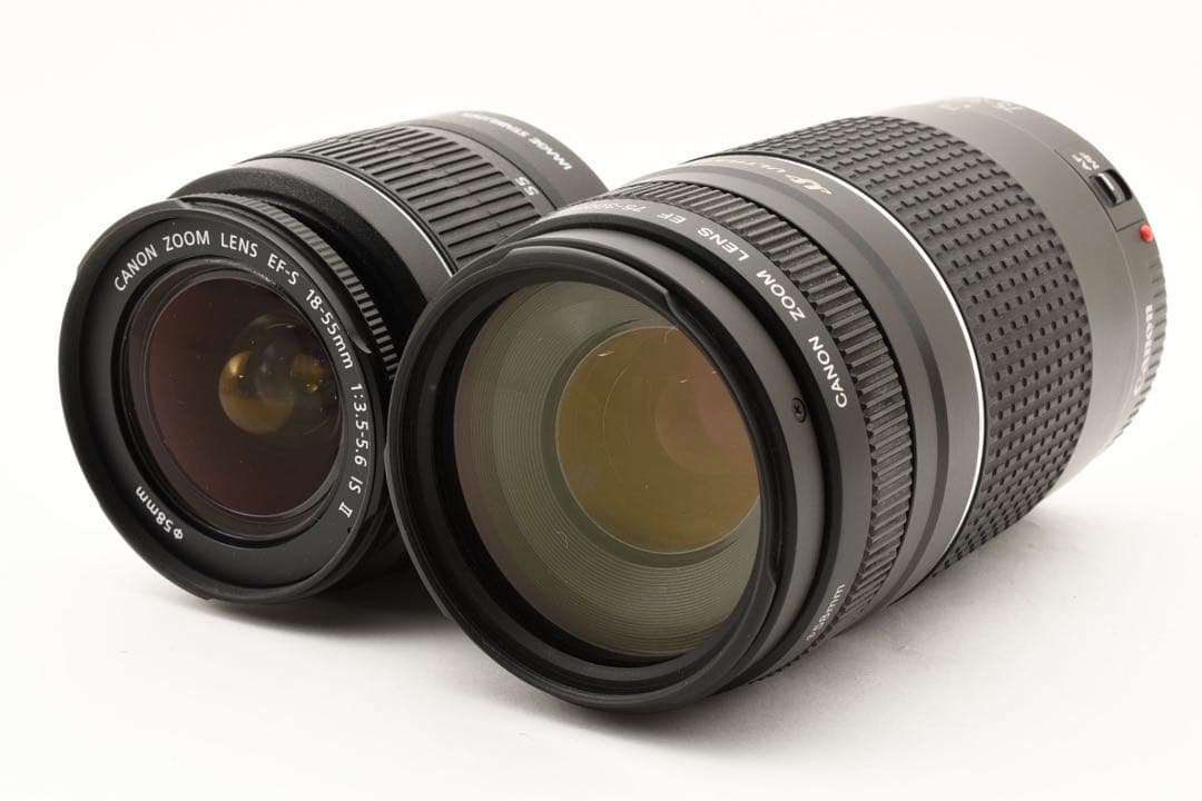 Canon EOS 80D/約2420万画素/標準&望遠ダブルレンズセット