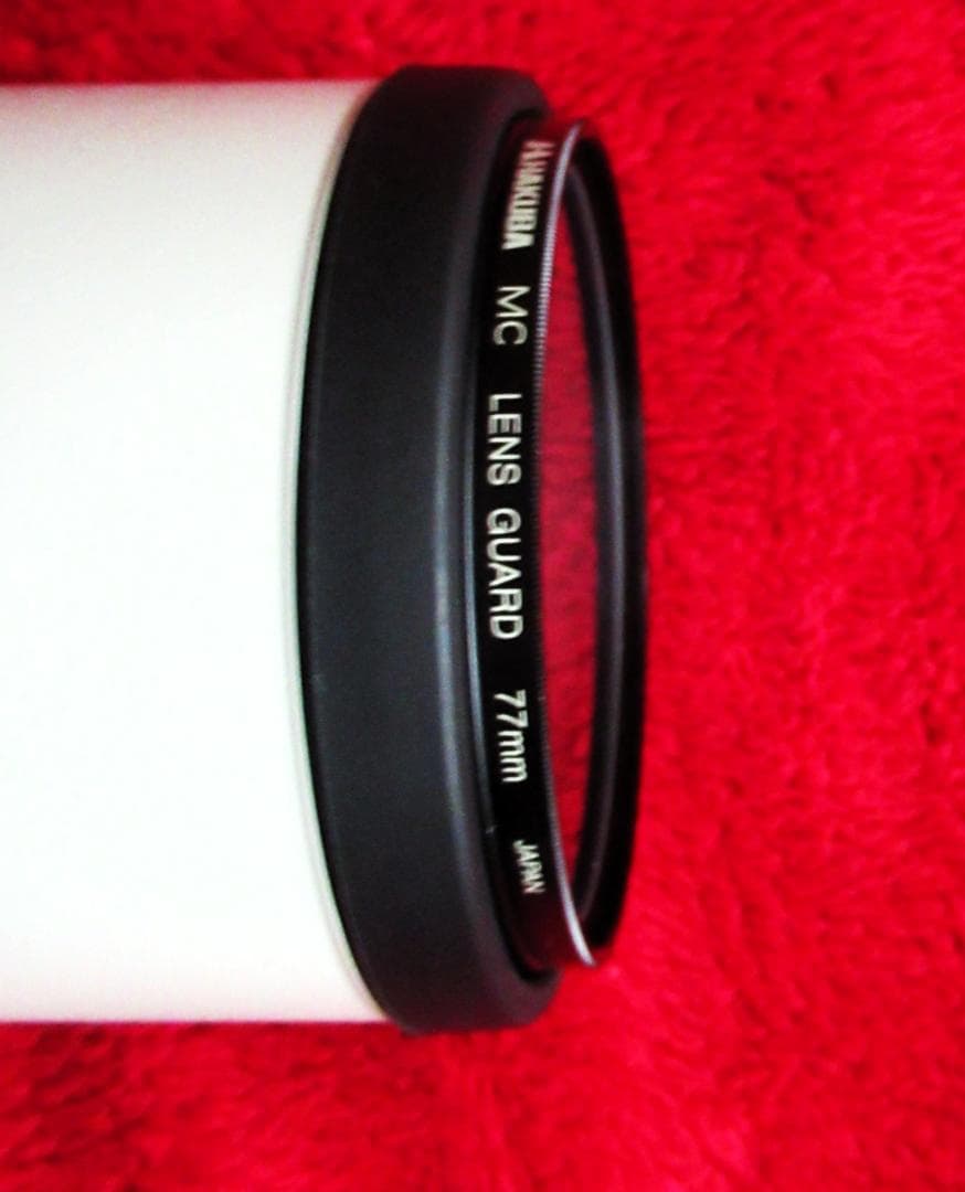 キャノン EF300mm F/4L IS USM (EFレンズ単焦点）