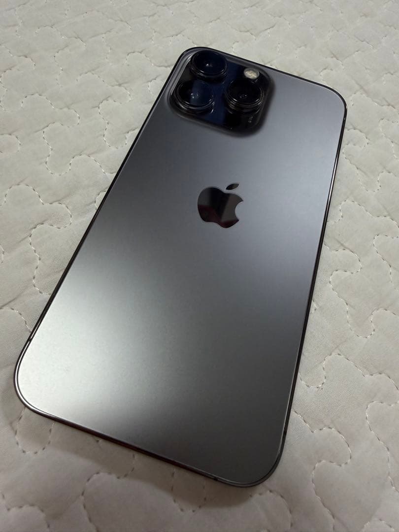 【即日発送】iPhone 13 Pro グラファイト 256GB 箱付属品有