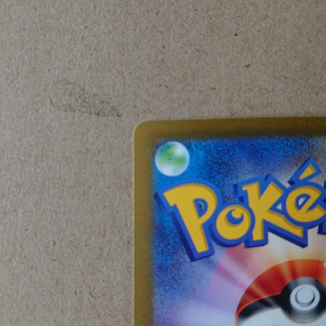 極美品 エリカの招待sar