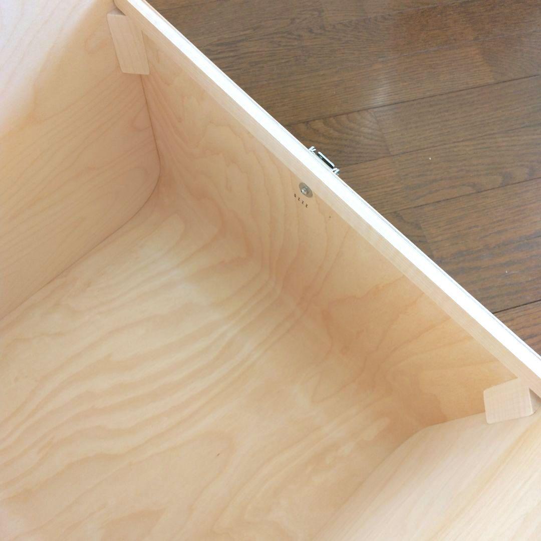 ファティーコンテナーズ Fatty Containers Lサイズ