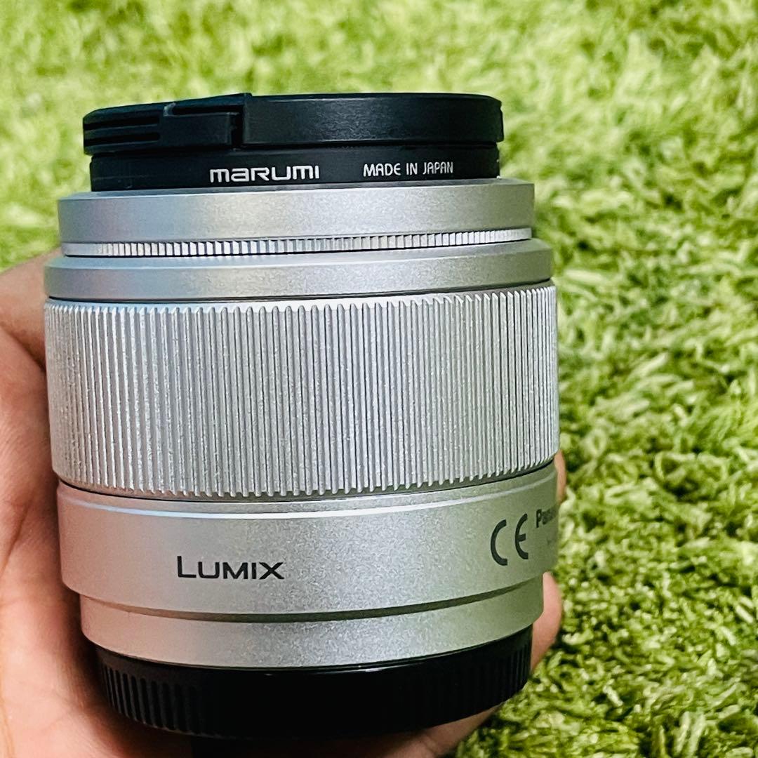 Panasonic LUMIX G 25mm f/1.7 ASPH 動作品