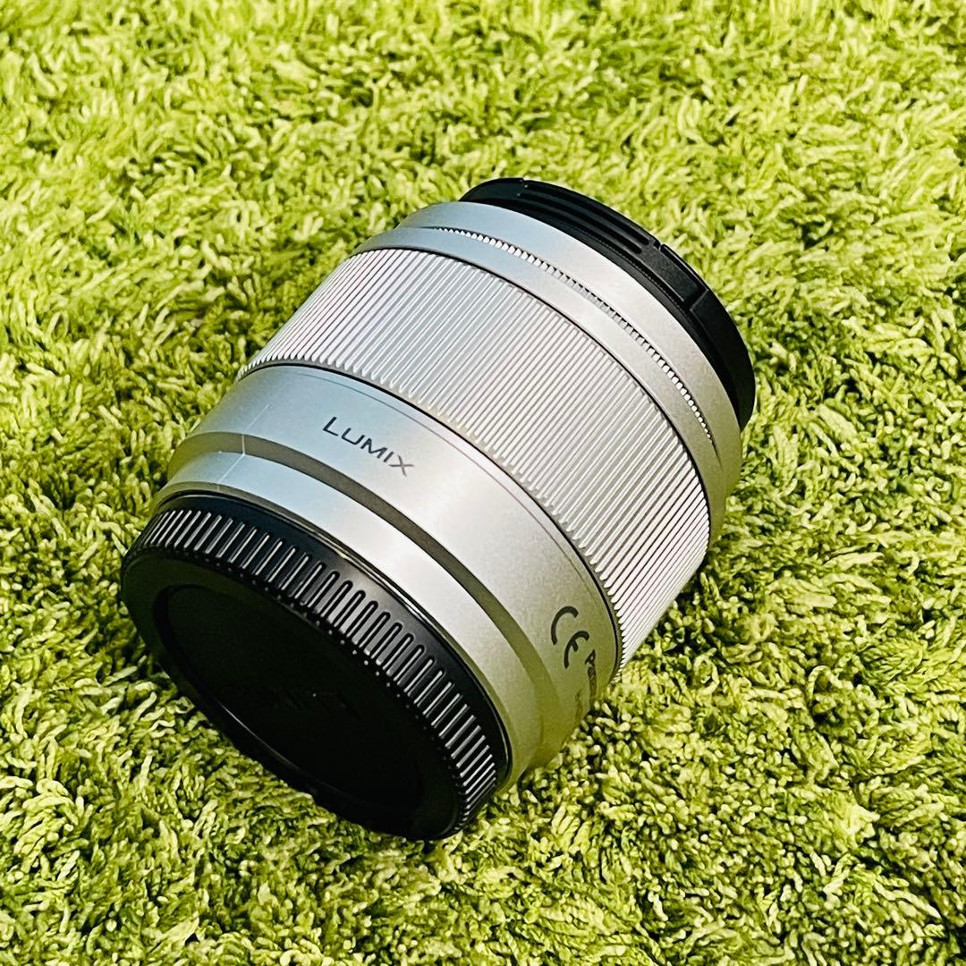 Panasonic LUMIX G 25mm f/1.7 ASPH 動作品