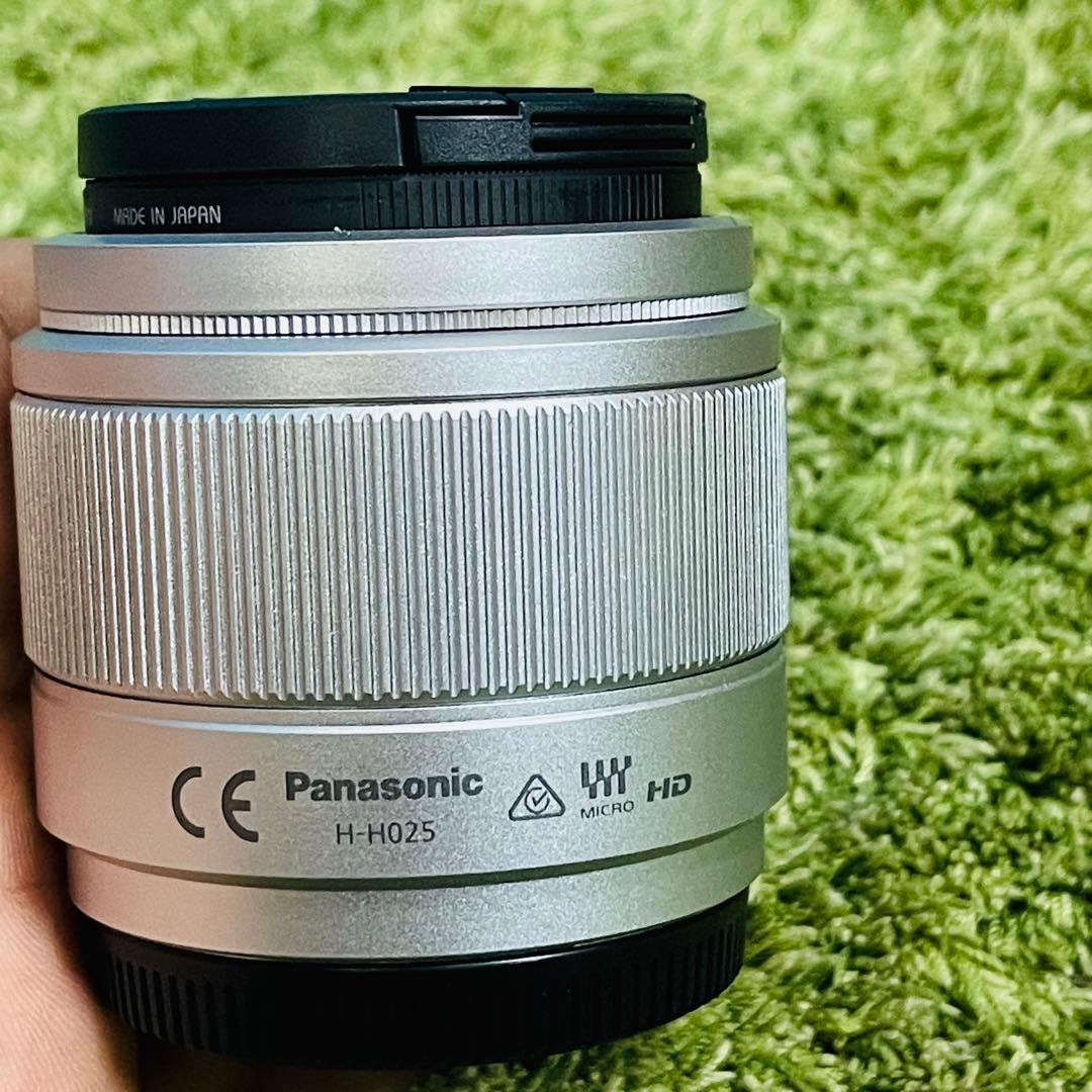 Panasonic LUMIX G 25mm f/1.7 ASPH 動作品