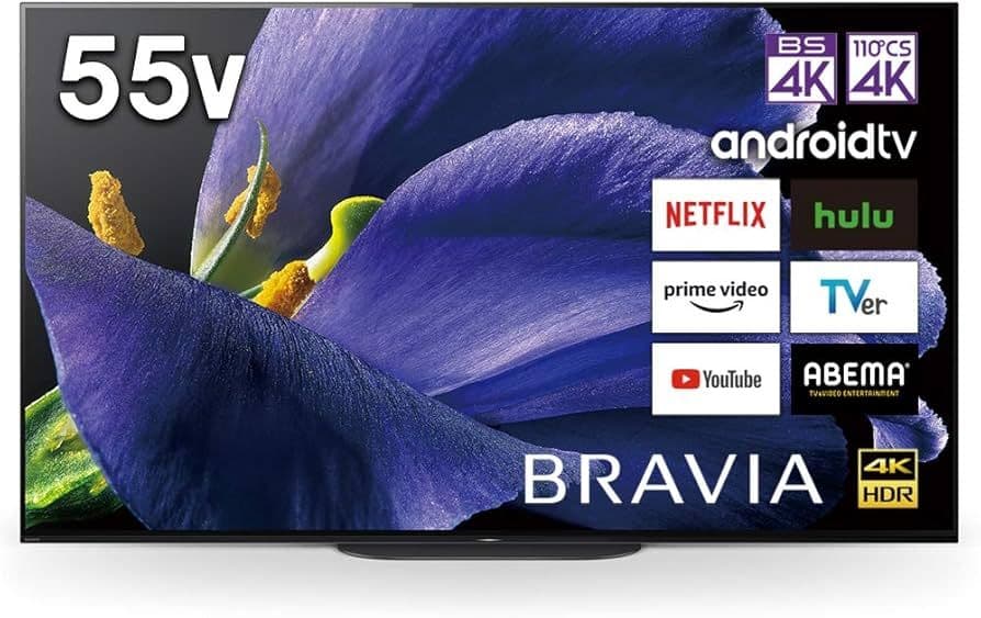 スナフキン　美品19年製55V型SONY BRAVIA KJ-55A9G