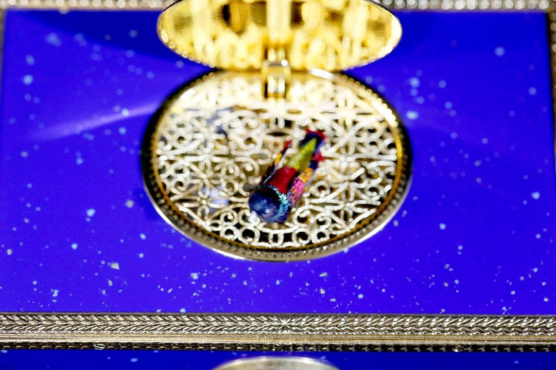 【レア】リュージュ シンギングバード オルゴール REUGE MUSIC