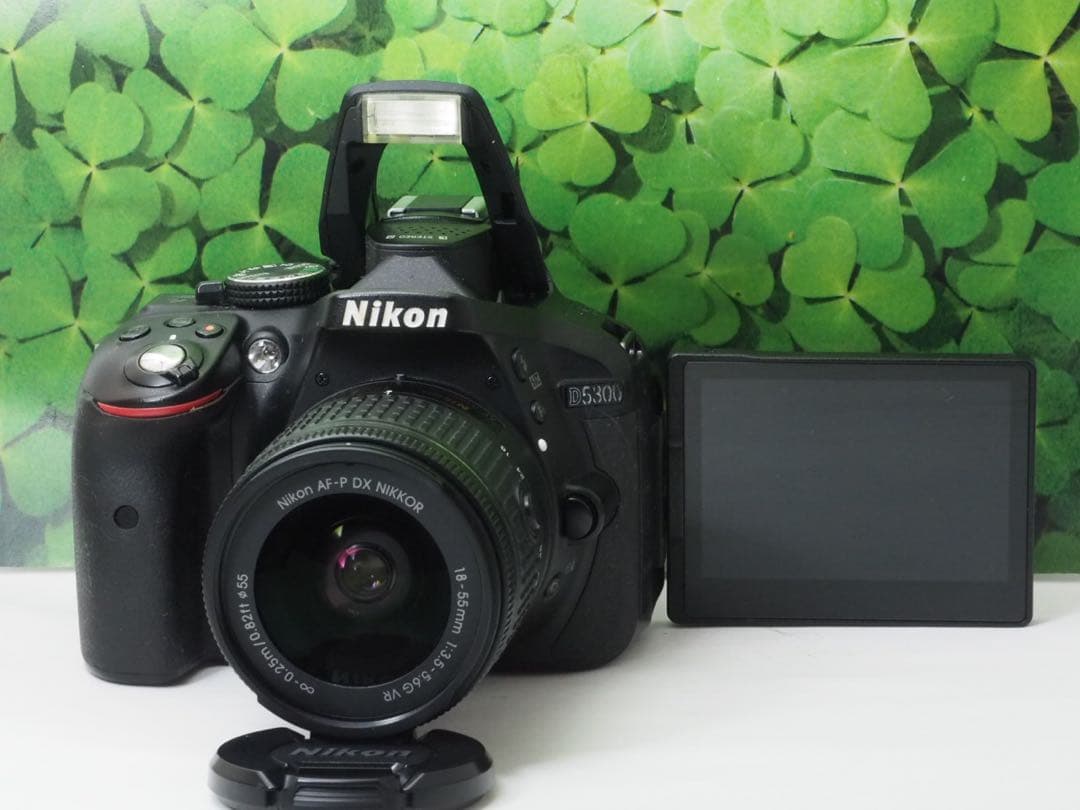 【美品】Wifi搭載⭐️自撮りOK ニコンD5300 2416万画素　標準レンズ