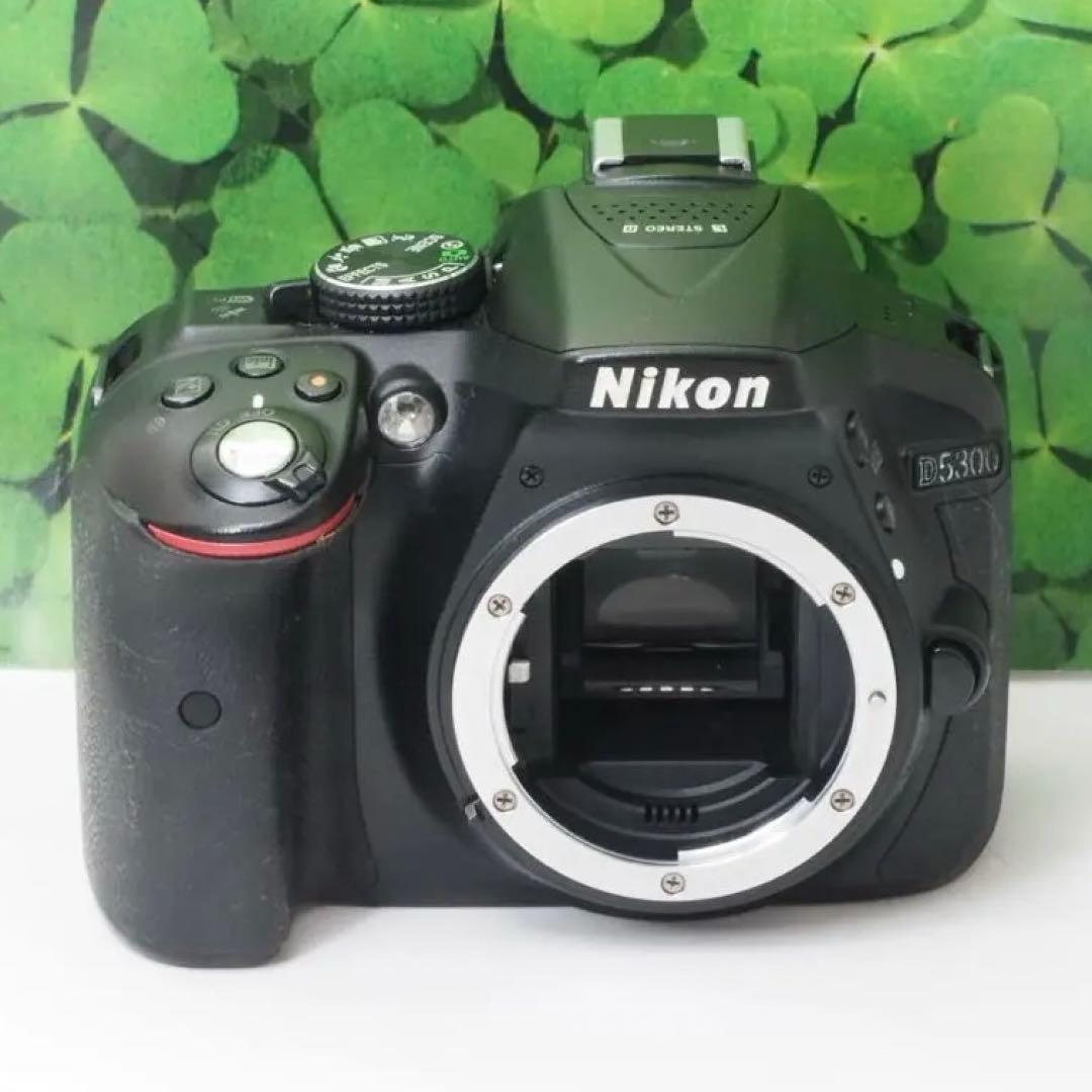 【美品】Wifi搭載⭐️自撮りOK ニコンD5300 2416万画素　標準レンズ