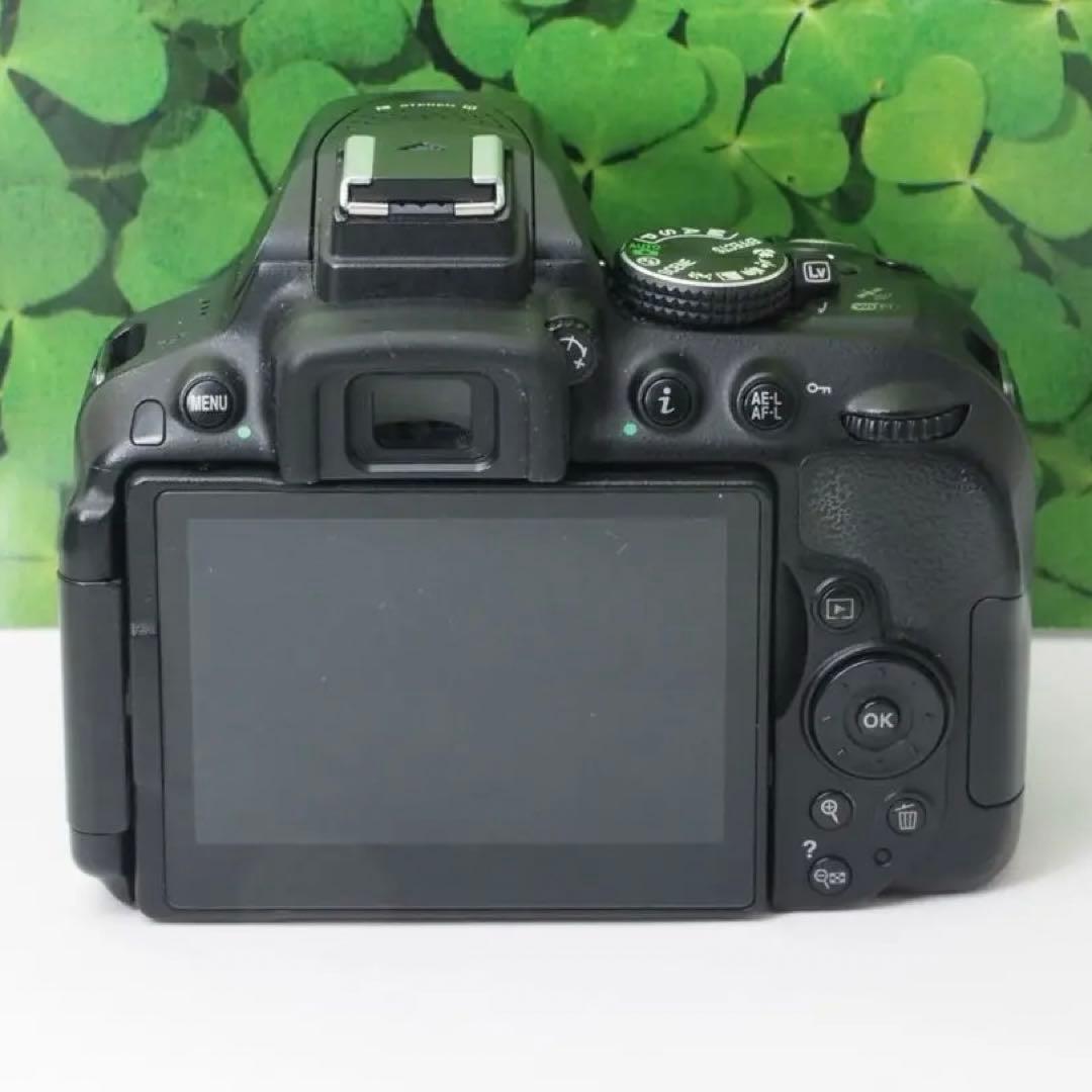 【美品】Wifi搭載⭐️自撮りOK ニコンD5300 2416万画素　標準レンズ